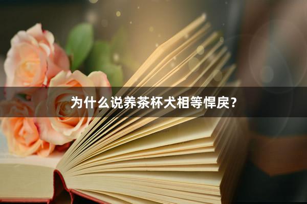 为什么说养茶杯犬相等悍戾？